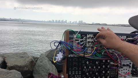 Dubharmonicon on the bay ( Moog Subharmonicon Eurorack live dub )
