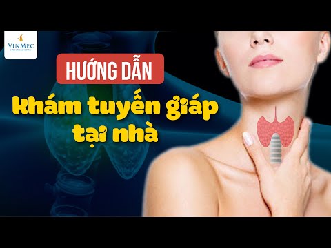 Video: Những điều bạn nên biết về các vấn đề về tuyến giáp thường gặp ở chó