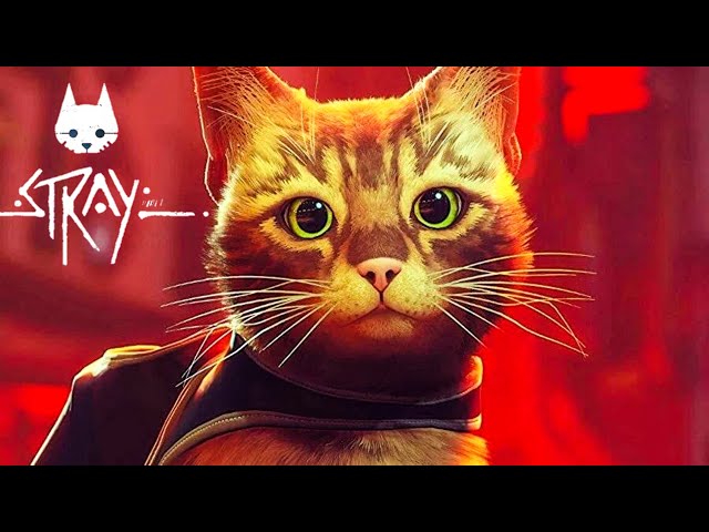 Stray, o jogo do gato, se torna o mais aguardado do Steam