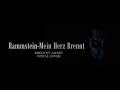 ROGOVOY ALEXEY - Mein Herz Brennt (Rammstein vocal cover) REMASTERED