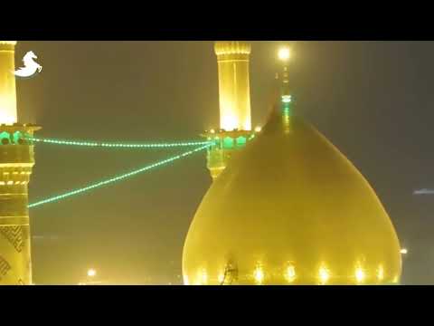زيارة عاشوراء محمود شاهين