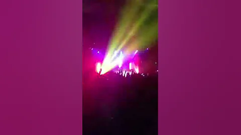 IMG 1524
