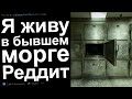 КРИПОВЫЕ ИСТОРИИ ОТ РИЕЛТОРОВ С РЕДДИТ