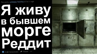 КРИПОВЫЕ ИСТОРИИ ОТ РИЕЛТОРОВ С РЕДДИТ