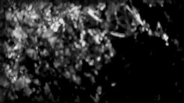 Enlighten "Phösphorvs Paramovnt" teaser