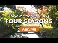 Tokyo metropolitan parks in bloom autumn