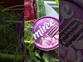 Schmorgurken mit Dill Soße.