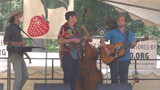 The Miller&#39;s Will, Hot Corn Cold Corn, Shenandoah - Sam Grisman Project at Strawberry Music 05282023