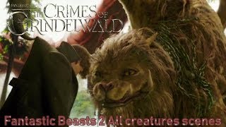 Fantastic Beasts 2 (2018) All creatures scenes | Final Battle with Grindelwald