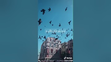 TikTok : القران الكريم راحة لا توصف 😍😍❤️