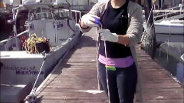 Measuring Water Clarity and Color Using a Secchi Disk and a Forel Ule Scale