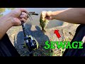 CATCHING FISH FROM A SEWER!!! (ABSURD 100 Degree Fishing CHALLENGE)