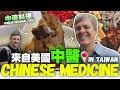 【來自美國中醫瘋台灣】外國人怎麼看中藥?// 台灣中藥料理竟然這麼好吃! |American Chinese Medicine Practitioner in Taiwan