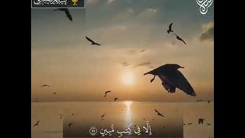 وإن ربك ليعلم ما تكن صدورهم وما يعلنون للقارئ إسلام صبحي