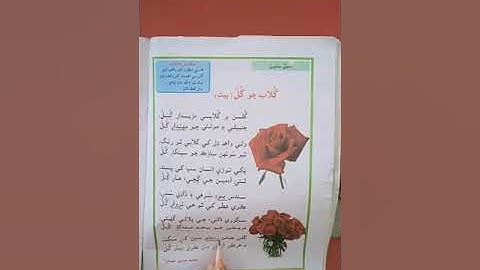 Class II Sindhi MT Lecture No. 11