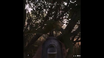 he had no idea i was there lol #shorts #huntshowdown #gaming #viral #youtubeshorts #pc #steam #king