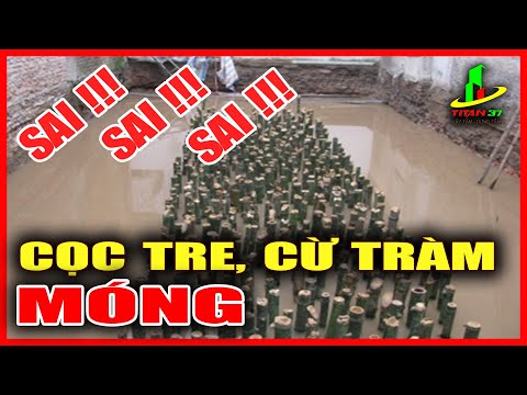 Video: Tre có thể làm hỏng nền nhà?