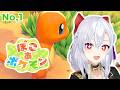 【ぽこあポケモン】どんなゲームかな？な夜