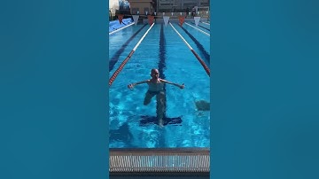 STREAMLINING BASICS (Aeroplane vs P11)