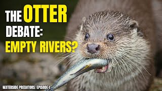 Are Otters Really Destroying Our Fish?