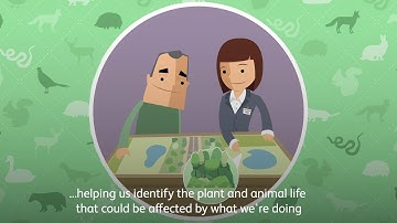 Wildlife by the railway