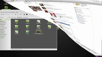 Linux Mint 10 Graphicssssss