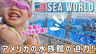 アメリカのエンタメは迫力満点！巨大水族館＆テーマパーク「SEA WORLD」でびしょ濡れ！〔#1088〕