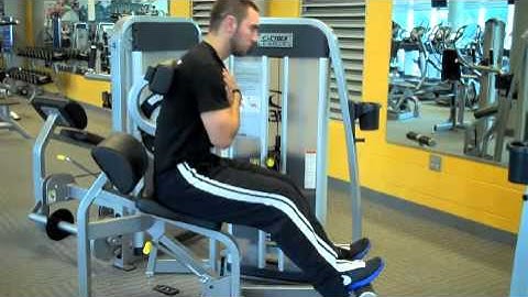 Cybex Back Extension