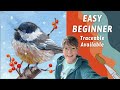 Best beginner chickadee fun winter bird with traceable by annie troe