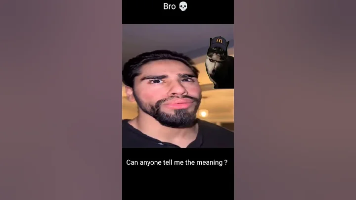 Meme that I stole again!! #cat