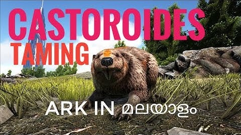 Ark mobile |[E:142] Castoroides taming | how to tame  Castoroides  ark in Malayalam