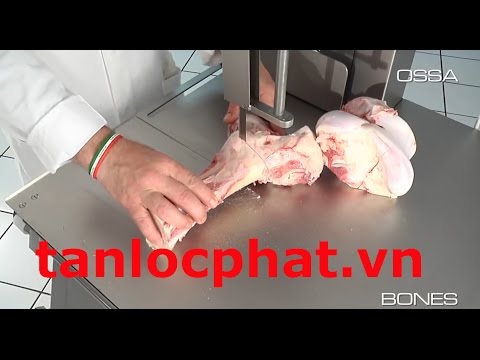 Máy cưa xương, thịt đông lạnh nhập khẩu trực tiếp giá tốt nhất