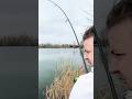 Dieser Winterstör hat uns alles abverlangt! 😱🥶🎣 | Winterangeln #angeln #fishing
