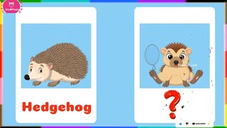 Hedgehog Baby Name in English | Hedgehog Young One Name | what is the name of baby Hedgehog?
