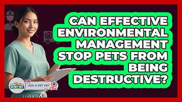 Can Effective Environmental Management Stop Pets From Being Destructive? - Ask A Pet Vet