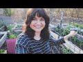 How to PLANT & GROW with Cattle Panel Arched Trellises | Vertical Gardening Help