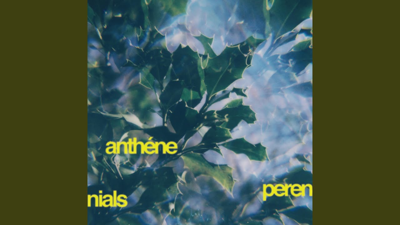 Watch perennials on YouTube Watch perennials on YouTube