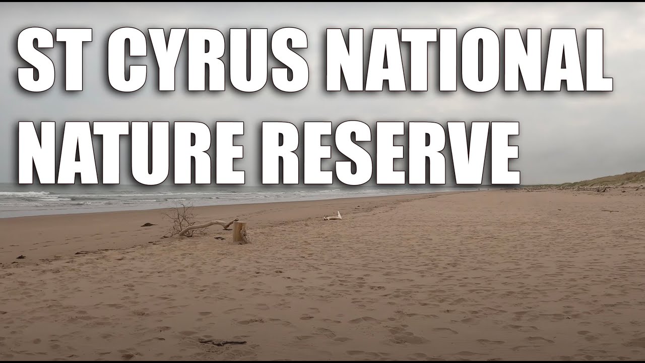 St Cyrus National Nature Reserve 