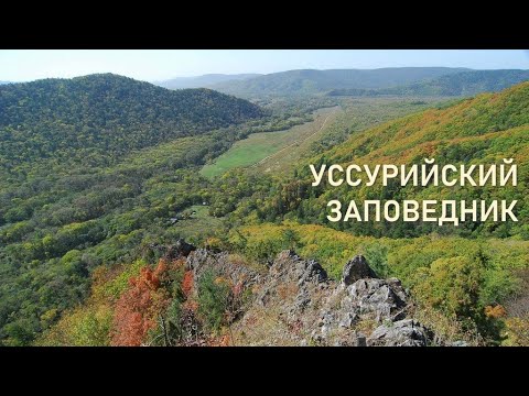 Video: Ussuriysky Reserve: državni rezervat prirode u Primorskom kraju