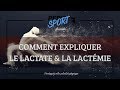 Comment expliquer le lactate et la lactatemie