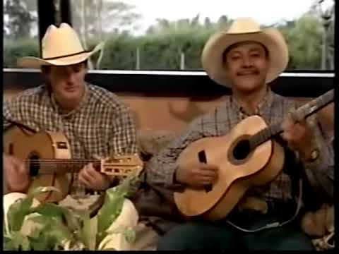 Goiano e Paranaense -  A Viola e a Saudade(1997)