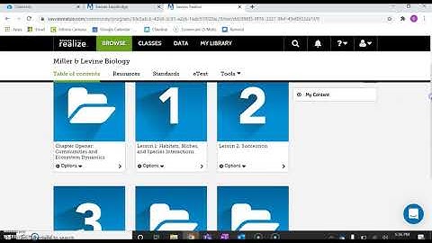 How to access the Pearson textbook online