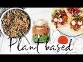 3 HIGH PROTEIN PLANT BASED BREAKFAST &amp; LUNCH IDEAS