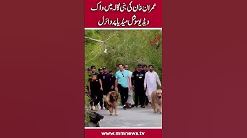 Imran Khan walks in Bani Gala
