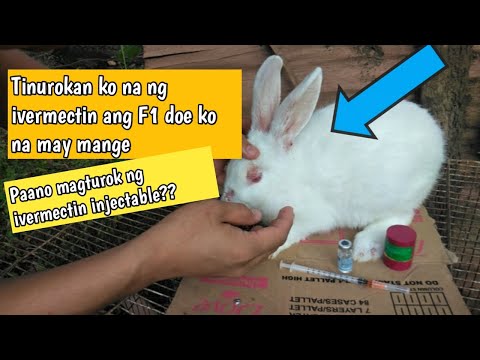 Video: Paano Magbakuna Sa Mga Kuneho