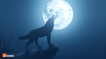 THE WOLF || Photoshop Manipulation Tutorial || Dark & Creative Moon Light || Ds works #photoshop