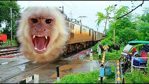 Dangerous MONKEY Face Garba SF Express Train Dangerous & Furious Moving Out At Railgate