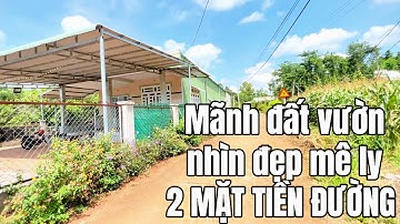 Cô chú lớn tuổi rồi nên không còn khả năng chăm mãnh đất vườn nữa nên quyết tâm hạ giá bán mãnh đát