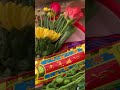 CON TRỞ VỀ CỬA PHẬT – NGUYỆN CẦU BÌNH AN TẠI CHÙA HƯƠNG TÍCH