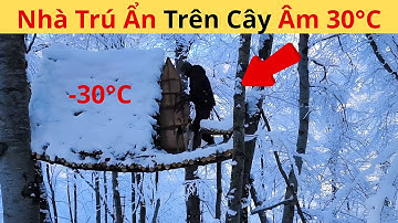 Tự Tay Xây Dựng Căn Nhà Trên Cây Giữa Băng Tuyết – Thử Thách Sinh Tồn
